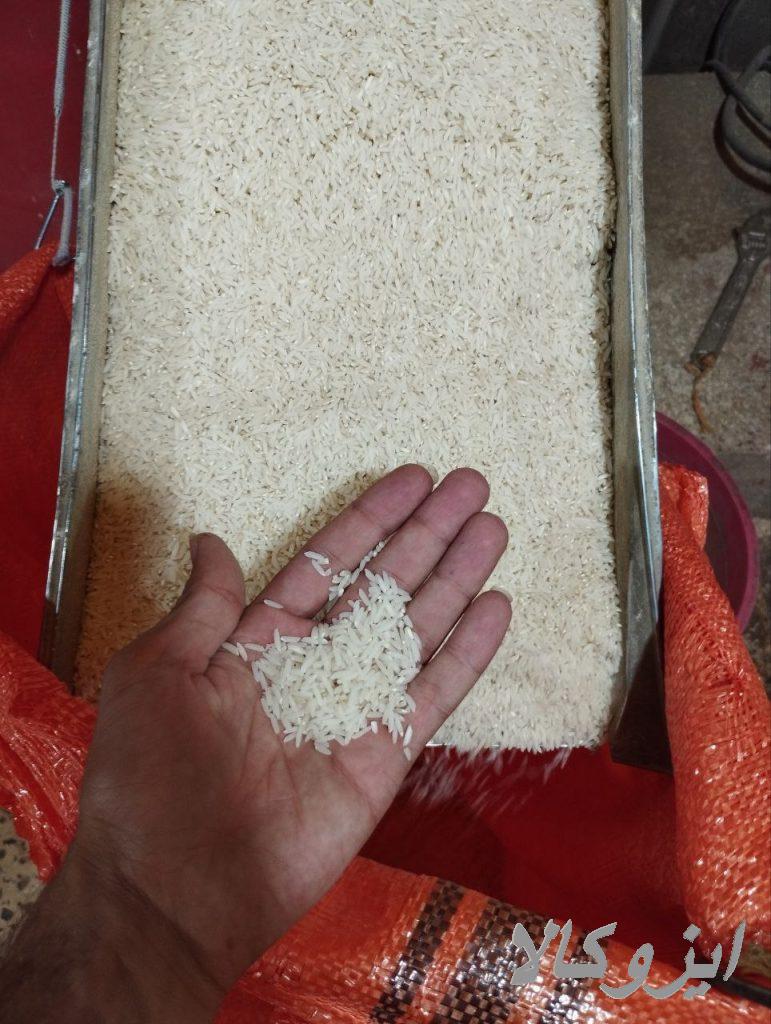 فروش برنج هاشمی اصل با قیمت مناسب