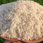 برنج مازندران فریدونکنار