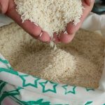عاملیت پخش و فروش برنج های شمال – تالش
